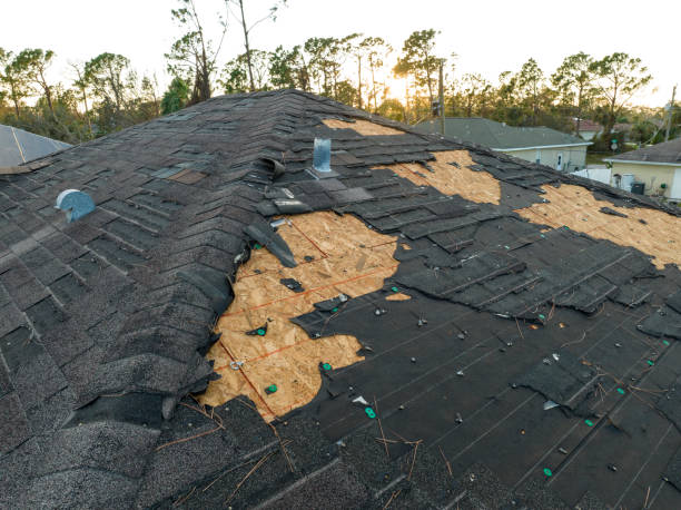 Roof Moss and Algae Removal in Kilauea, HI